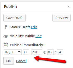 wordpress_publish_date