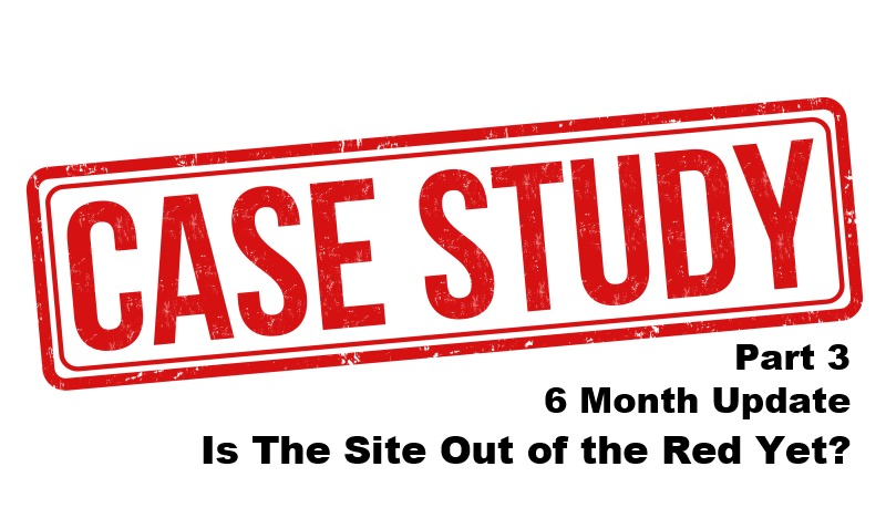 6 Month Update – Is The Site Out of the Red Yet? Niche Site Case Study Part 3