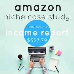 amazon niche case study income report feb