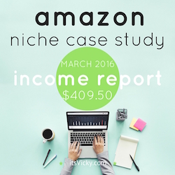 amazon niche case study income report march