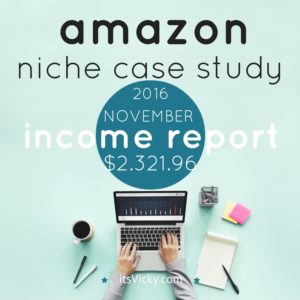 Case Study – Amazon Associate Income Report November 2016