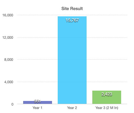 year by year income result