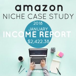 Can You Make Money Through Amazon? Case Study Update January 2018